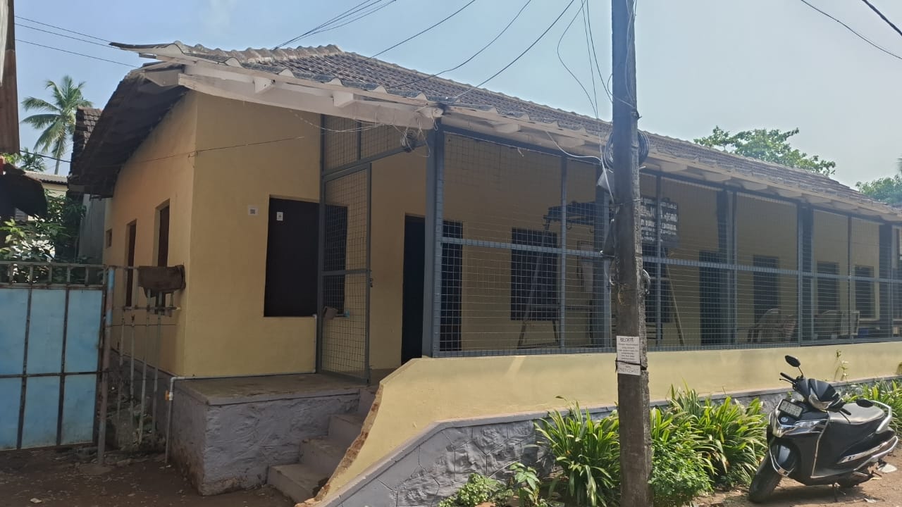 Veterinary