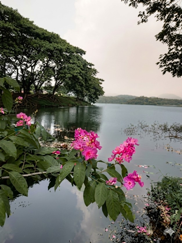 വെളിയനാട്