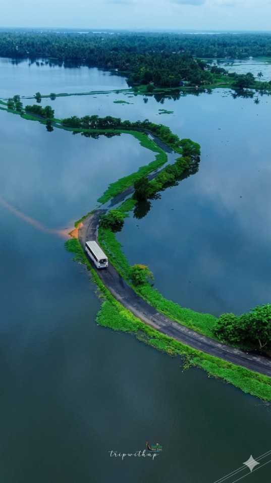 നാലുമണിക്കാറ്റ്