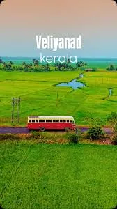 പച്ചവിരിച്ച നാട്