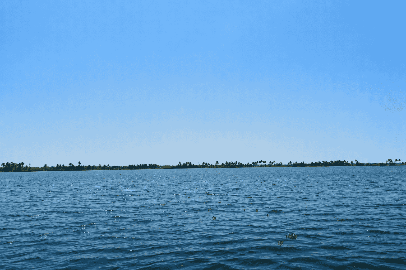 Vattakayal