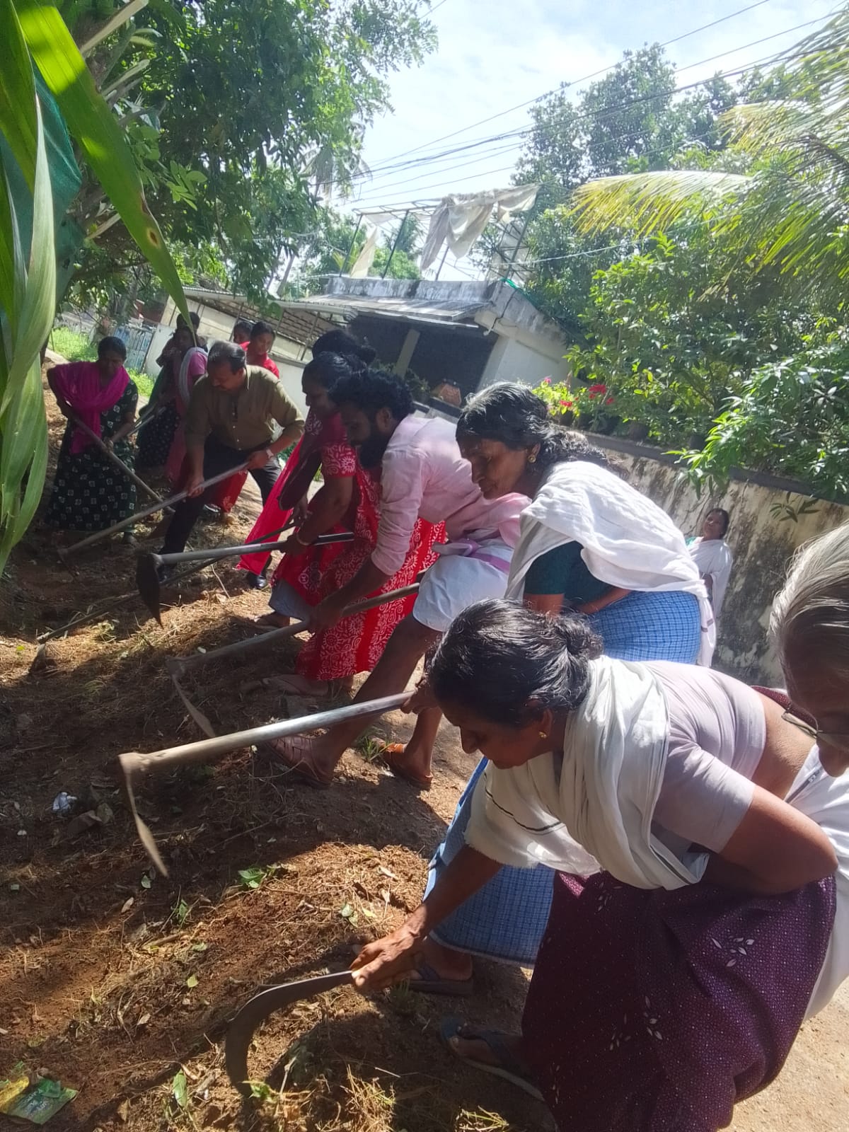 വാർഡ് തല ശുചീകരണം