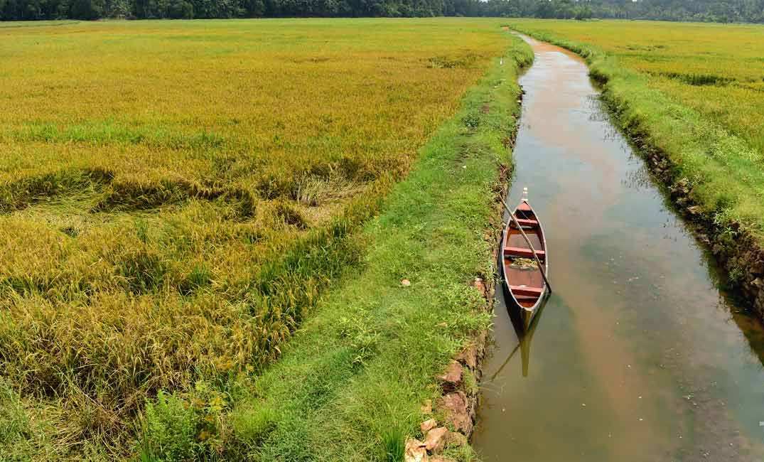 മാക്രിമട വ്യു പോയിന്‍റ്