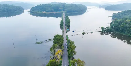 കരിങ്ങാലിച്ചാല്‍ വയല്‍