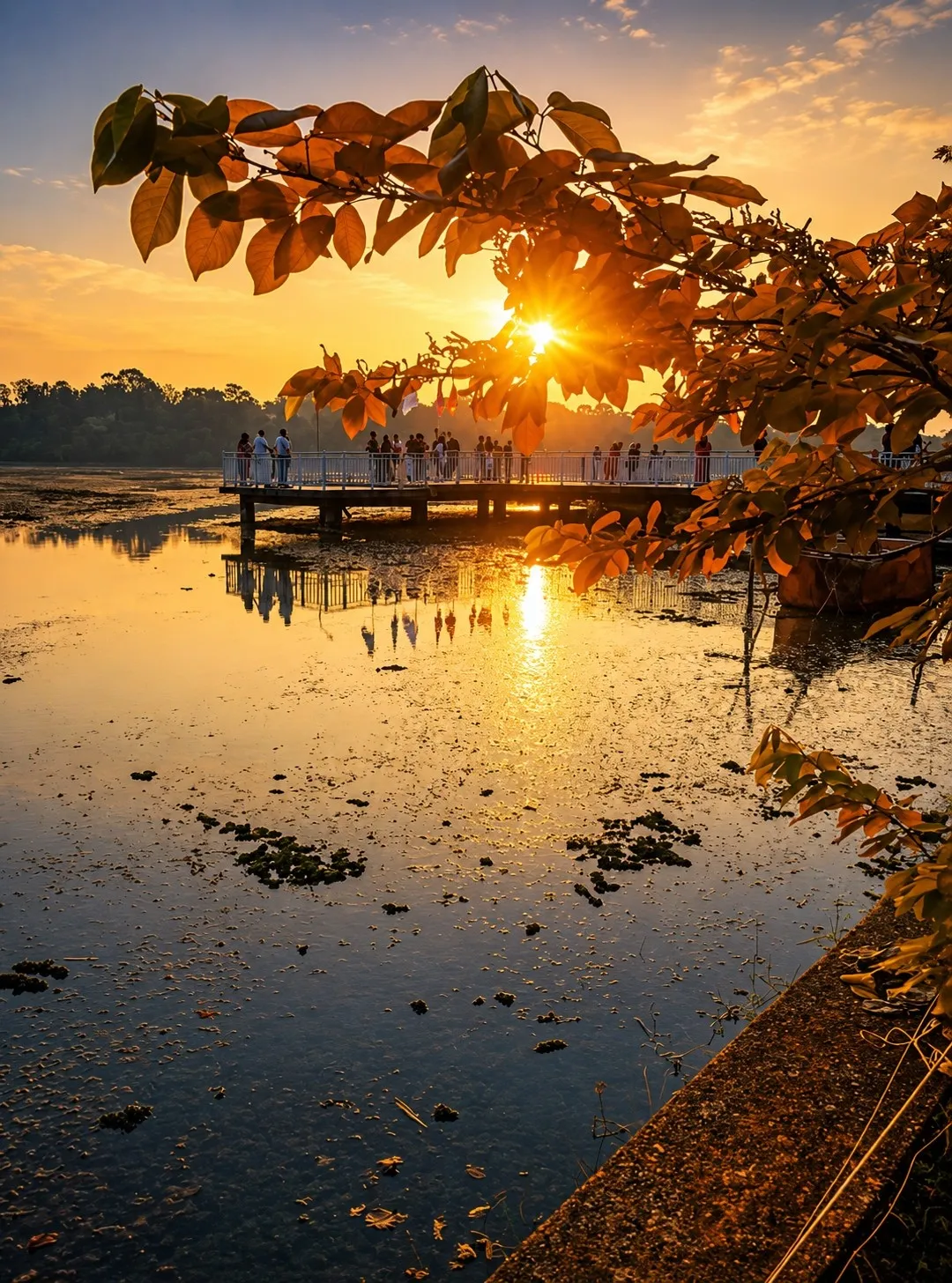 വയ്യാങ്കരച്ചിറ ടൂറിസം
