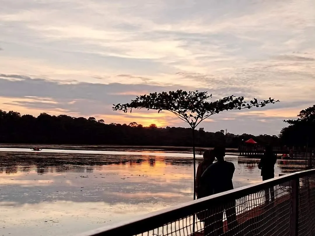 Vayankarachira Tourism