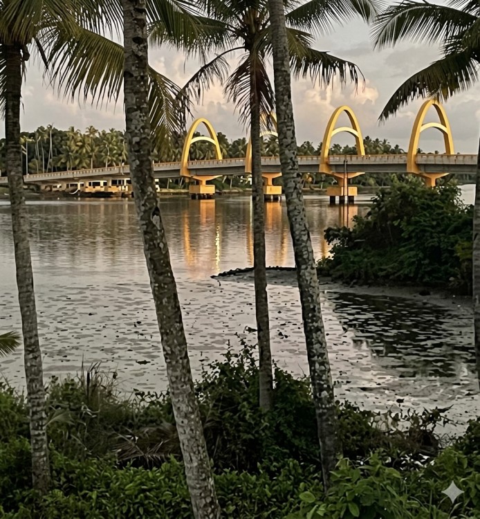 Koottumvathukal Bridge2