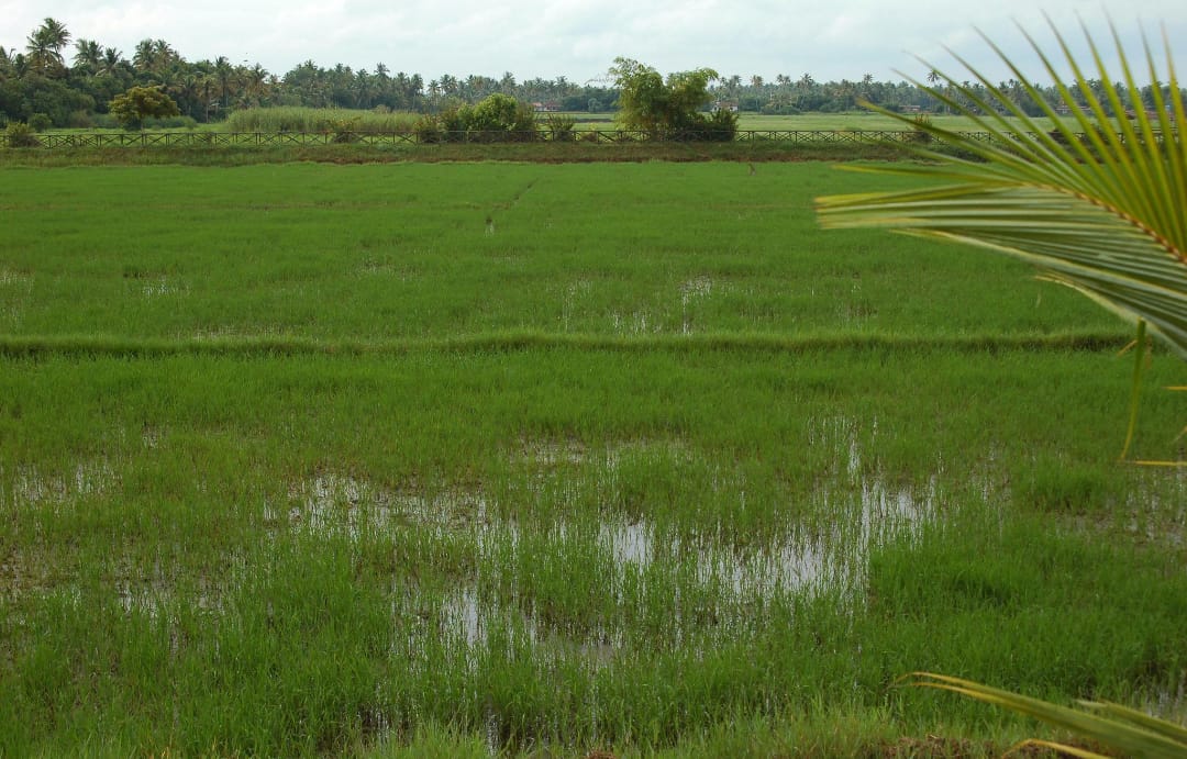 Geography of the Panchayat