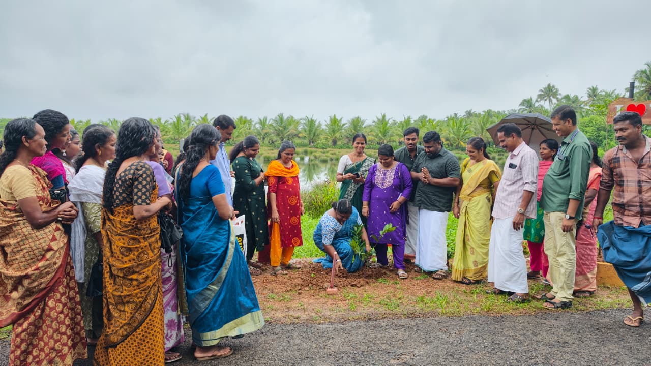 പരിസ്ഥിതി ദിനാചരണം-വൃക്ഷതൈ നടല്‍
