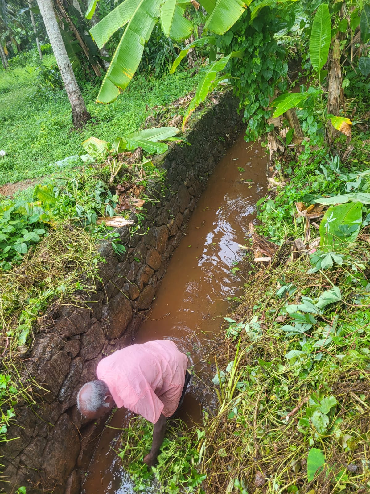 കാന ശുചീകരണം