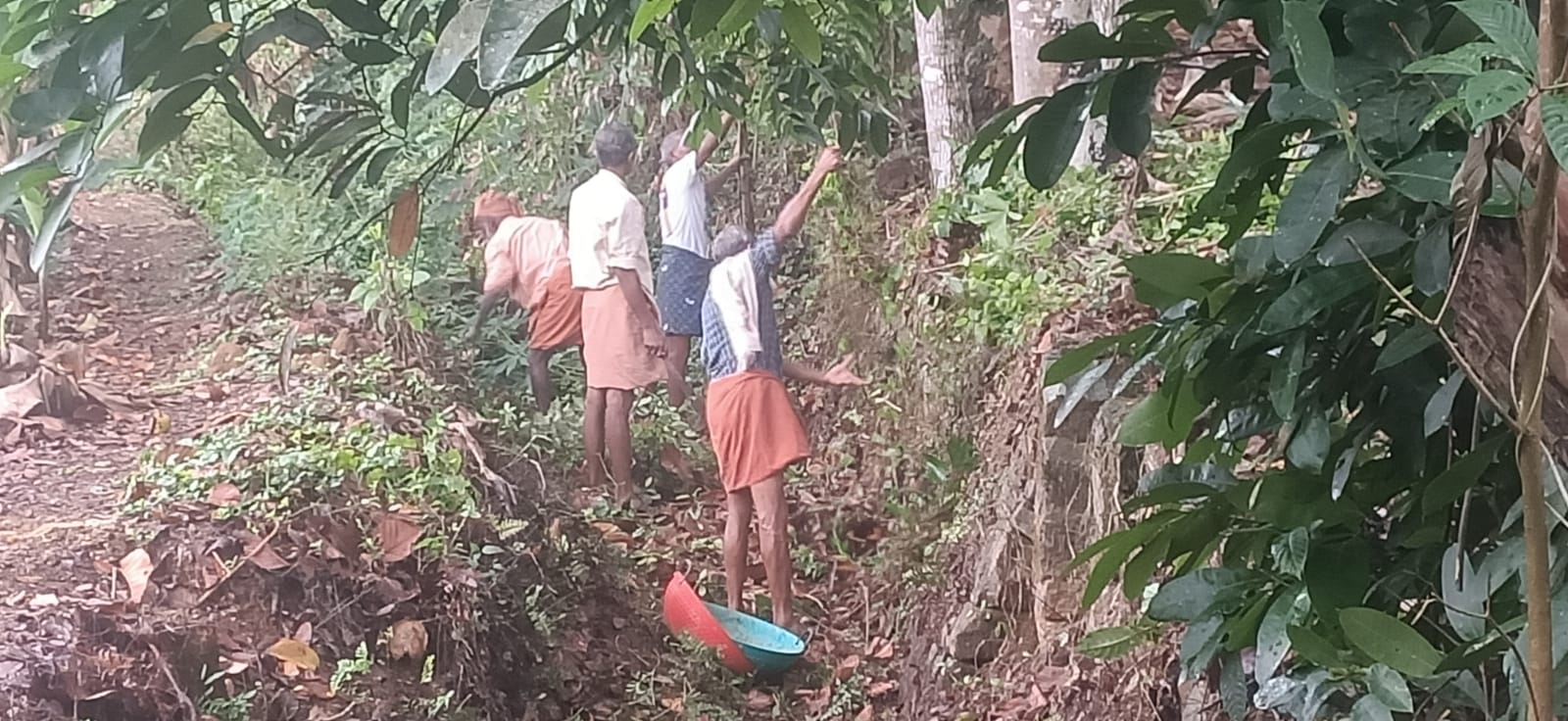 തോട് ക്ലീനിംഗ്
