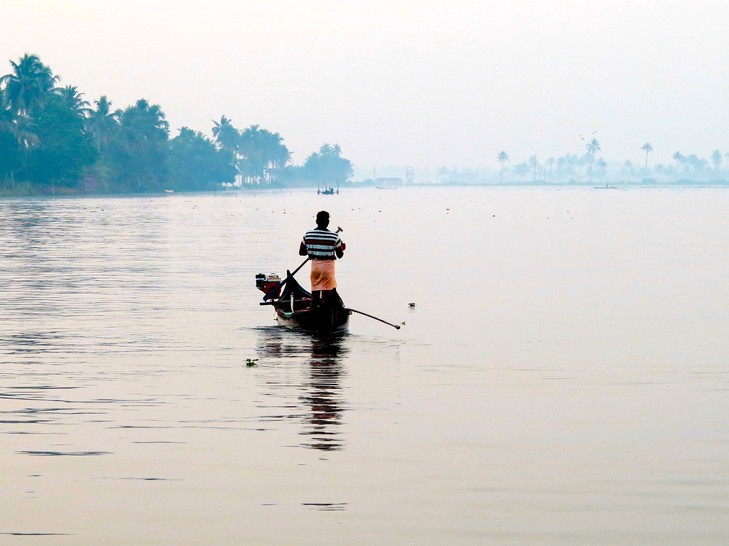 Vembanad Scenery