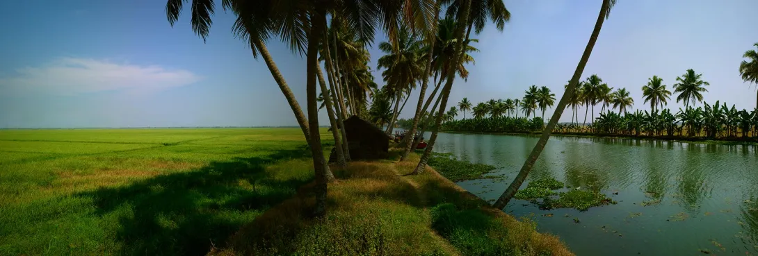 Field view