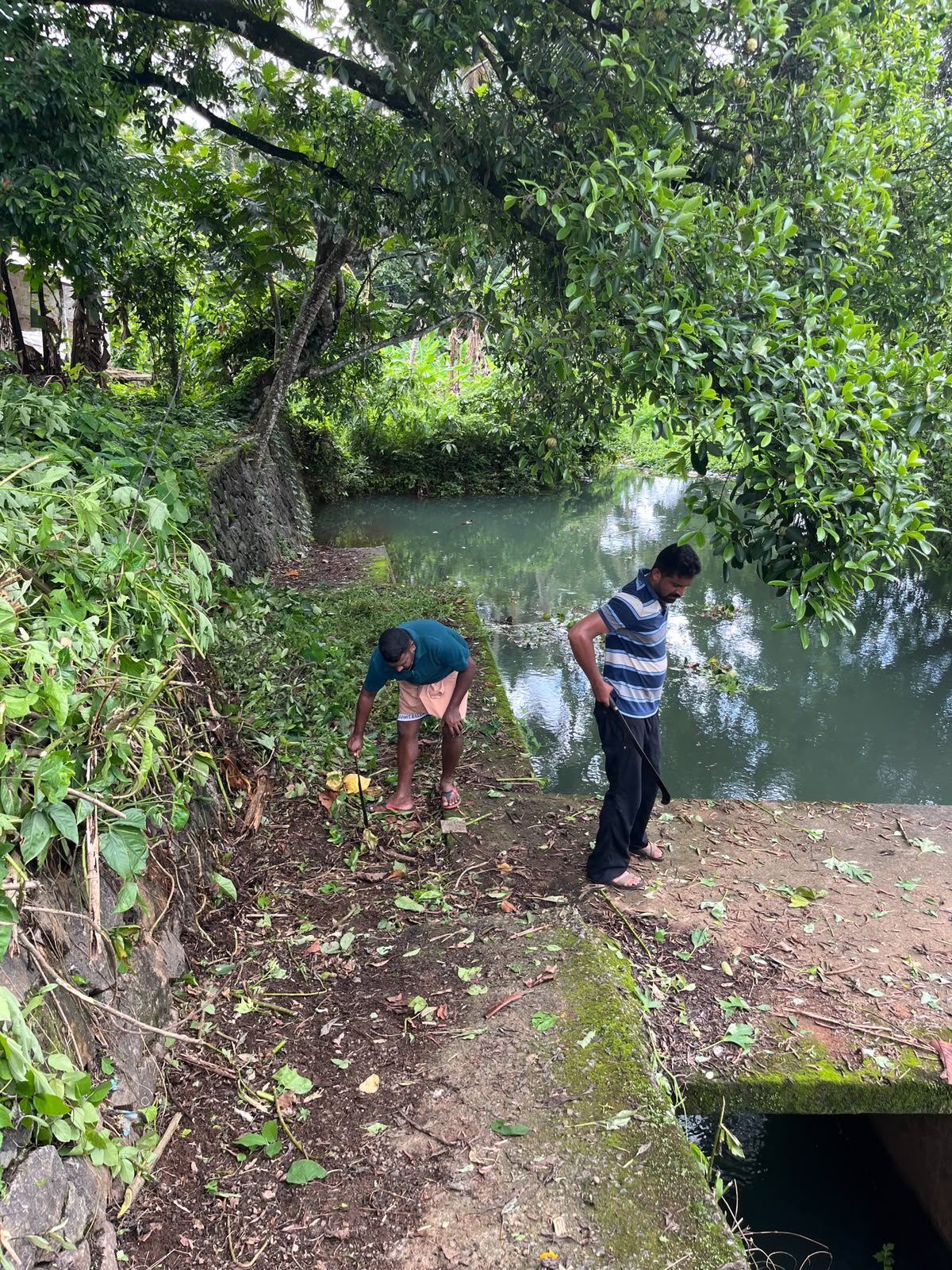 മഴക്കാലപൂർവ്വ ശുചീകരണ പ്രവർത്തനങ്ങൾ