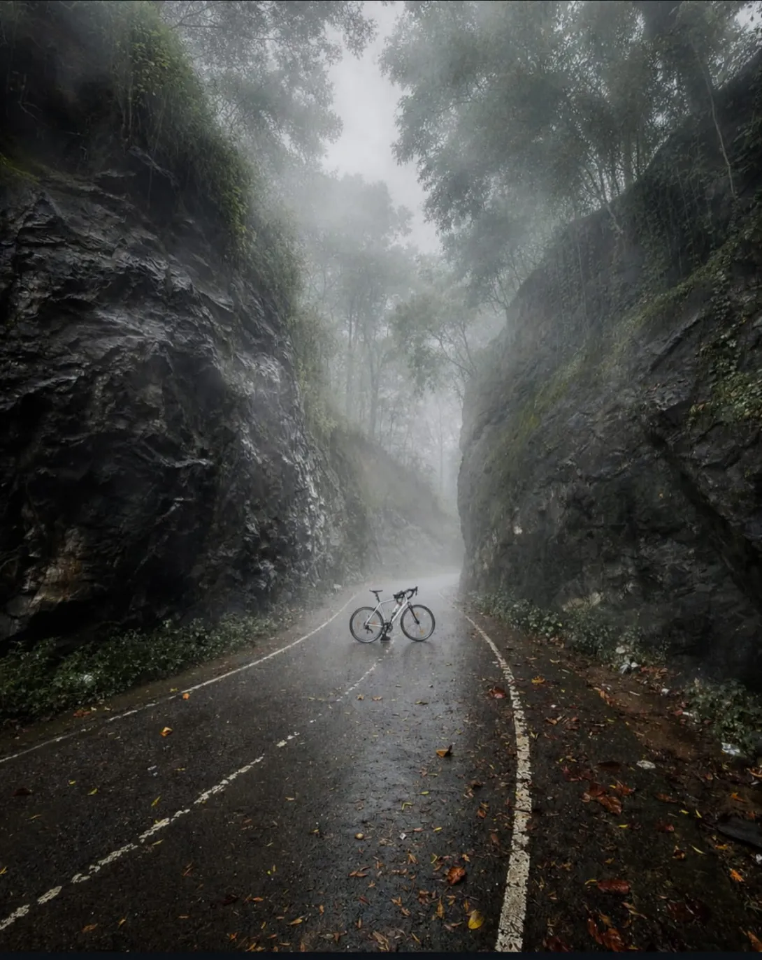 BETWEEN ROCKS