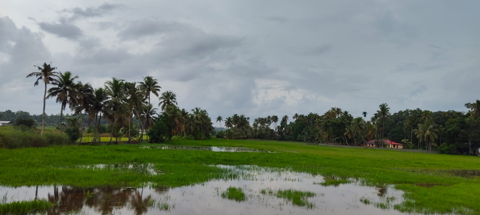 മാഞ്ഞൂര്‍