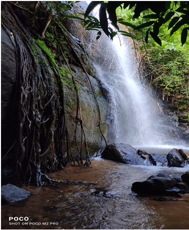 പാമ്പനാല്‍ വെള്ളച്ചാട്ടം
