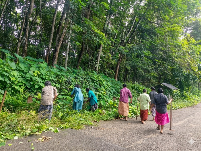 മഴക്കാലപൂർവ്വ ശുചീകരണം