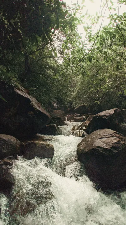 കടവുപുഴ വെളളച്ചാട്ടം