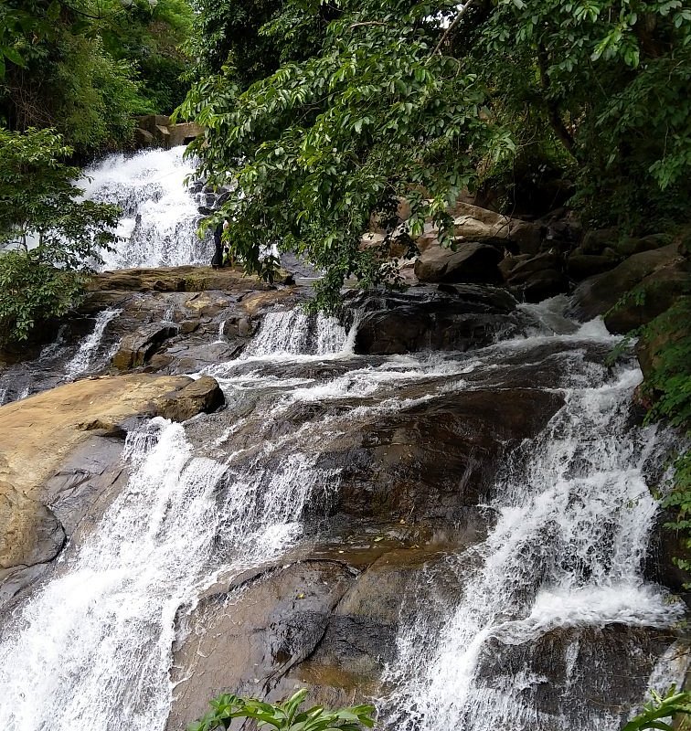 Aruvikuzhy Water fall