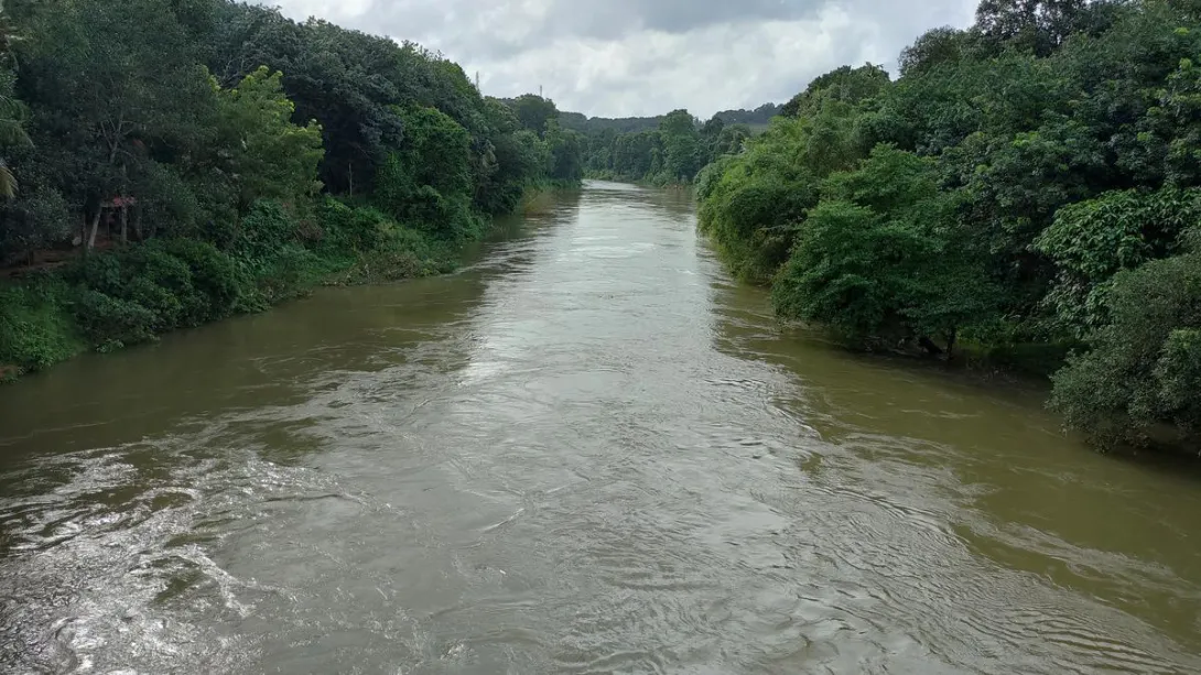 മീനച്ചിലാര്‍