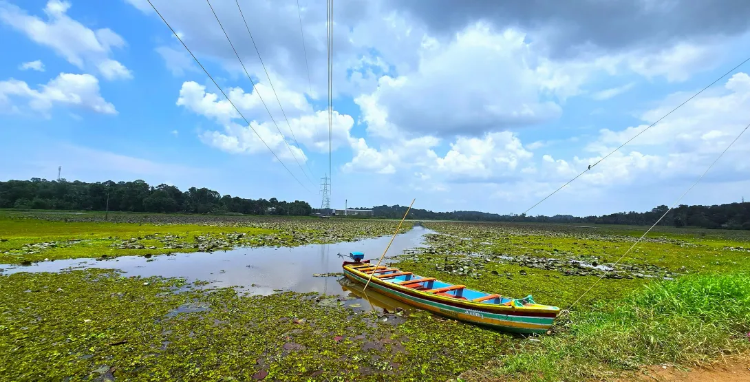 അമ്പാട്ട് കടവ്