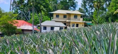 മാടപ്പള്ളി ഗ്രാമപഞ്ചായത്ത്