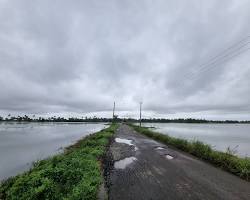 പറാൽ വ്യൂ പോയിൻറ് / പറാൽ പാലം