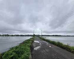 പറാൽ വ്യൂ പോയിൻറ് / പറാൽ പാലം