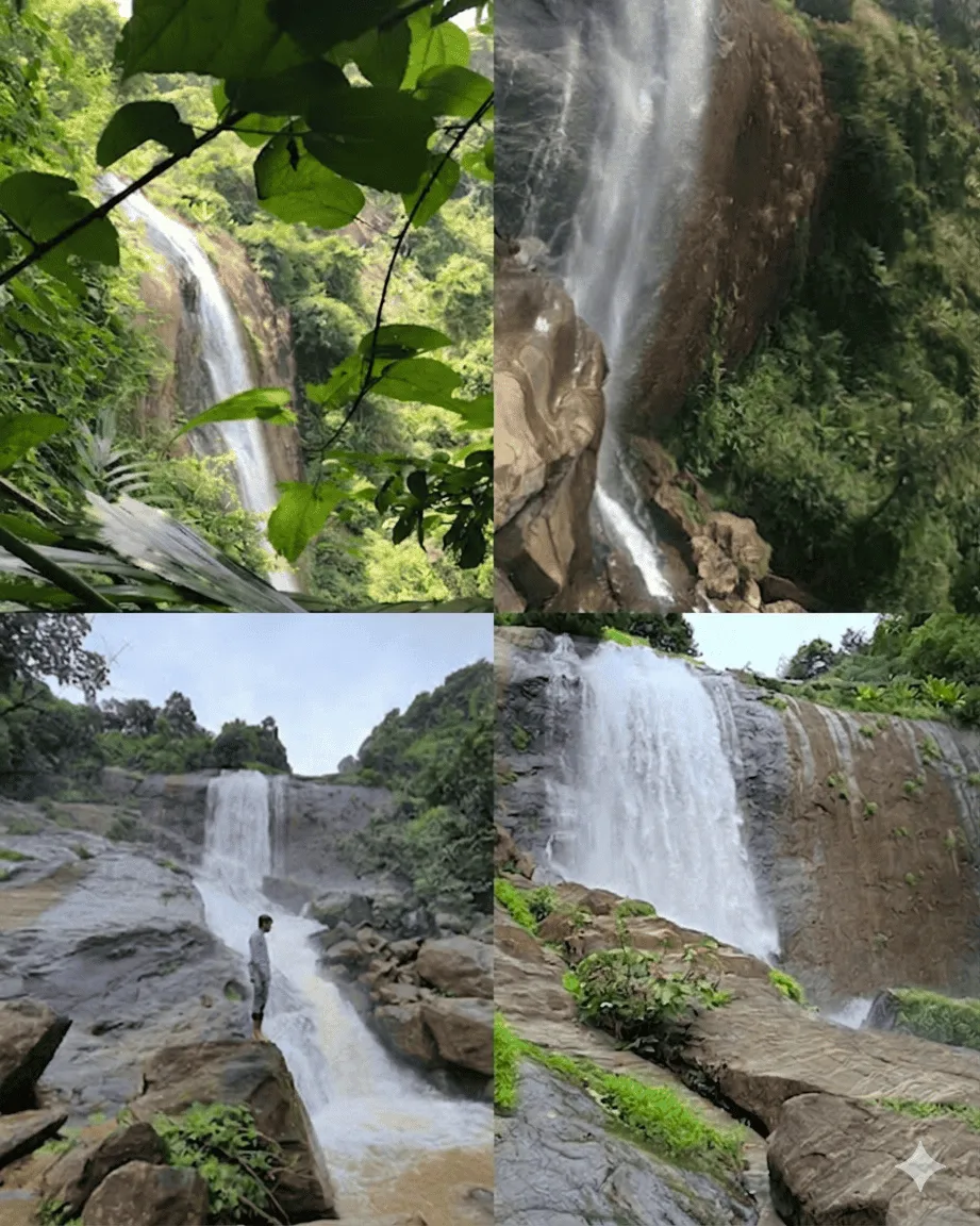 വേങ്ങത്താനം അരുവി