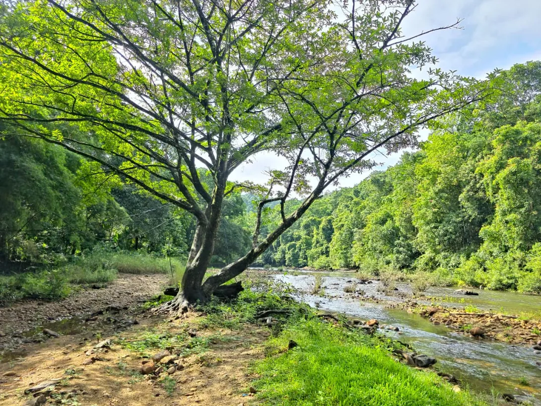 ഫോട്ടോ ഗ്യാലറി