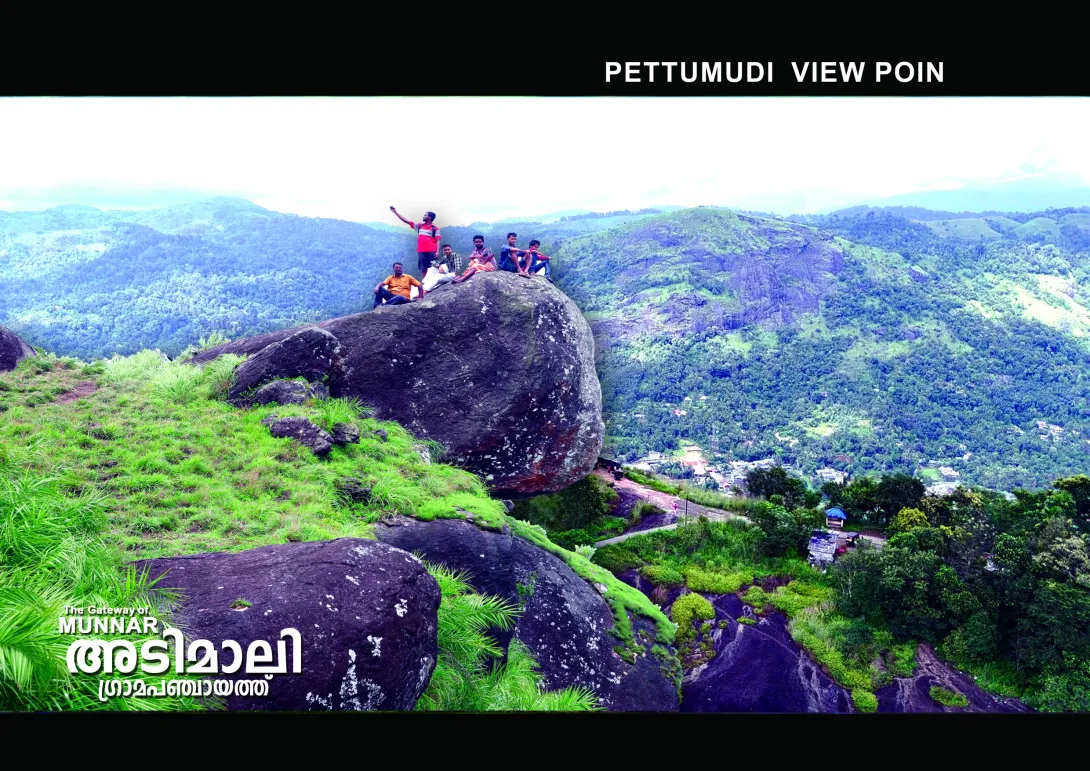 പെട്ടിമുടി വ്യൂ പോയിന്‍റ്