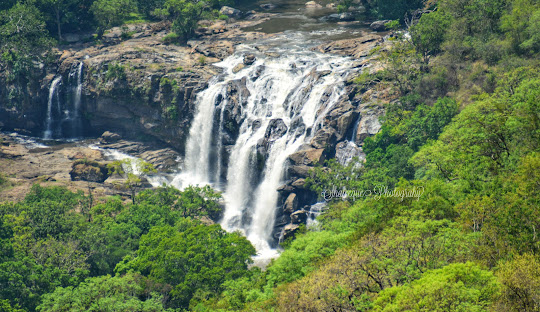 തൂവാനം വെള്ളച്ചാട്ടം