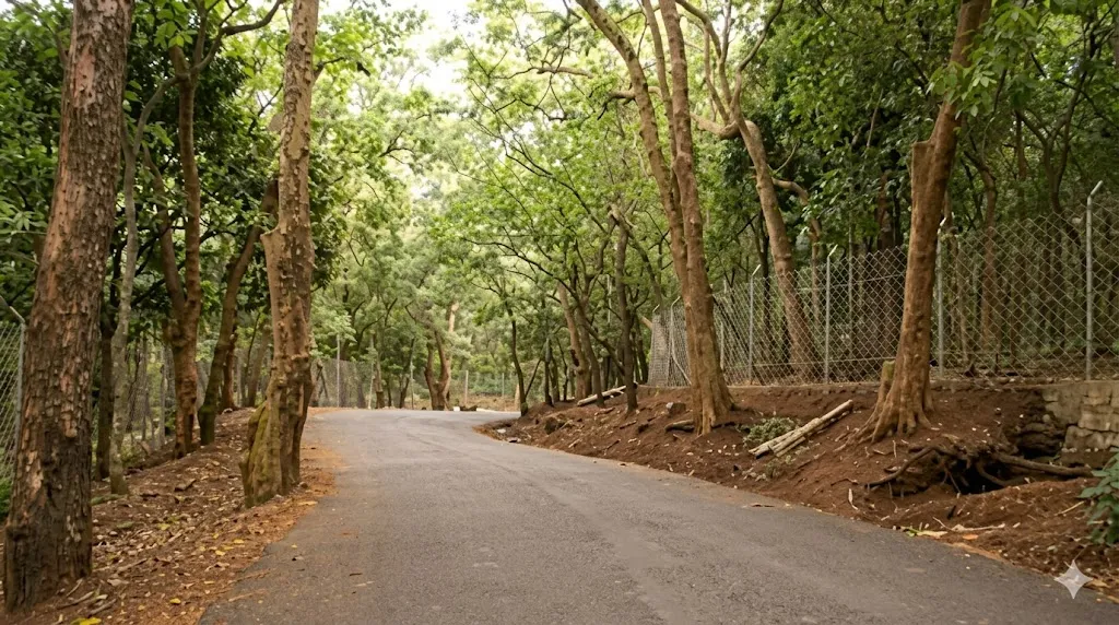 സ്വാഭാവിക ചന്ദന വനം