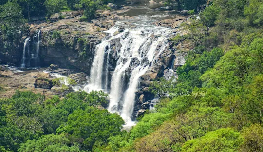 തൂവാനം വെള്ളച്ചാട്ടം