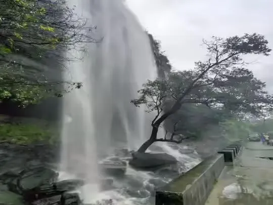 ഇറച്ചിൽപ്പാറ വെള്ള ചാട്ടം