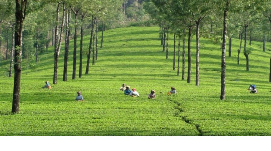 ആര്‍ട്ടിക്കിള്‍