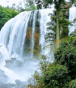 കുത്തുങ്കൽ വെള്ളച്ചാട്ടം 