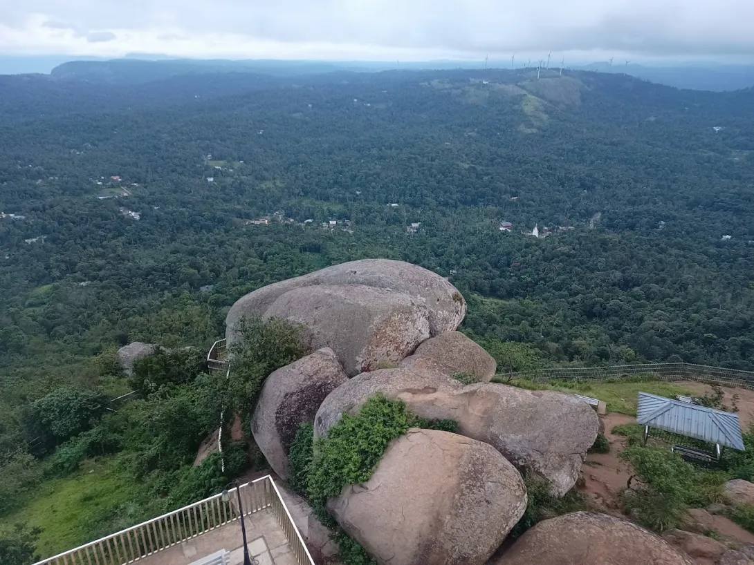 ആമപ്പാറ ടൂറിസം