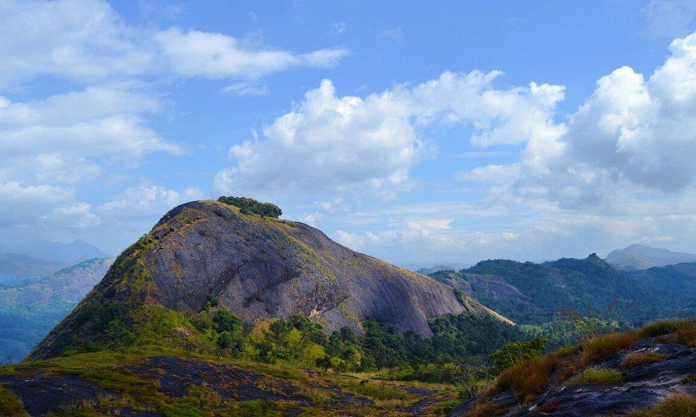 മീനുളിയാന്‍ പാറ