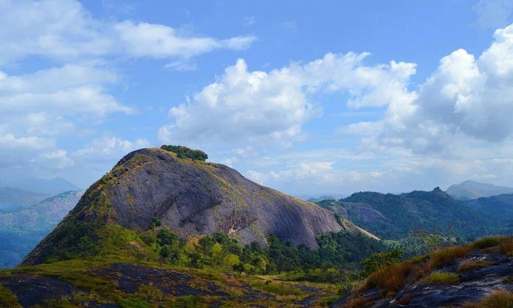 മീനുളിയാന്‍ പാറ