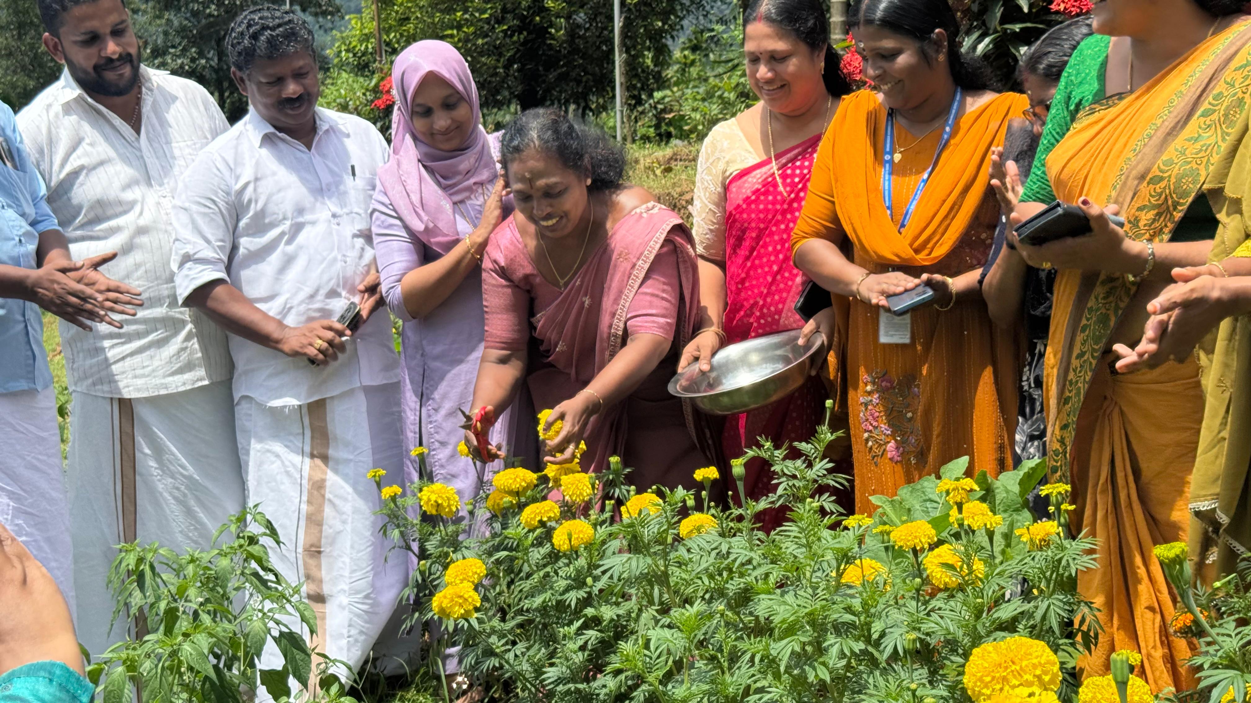 Floriculture harvest