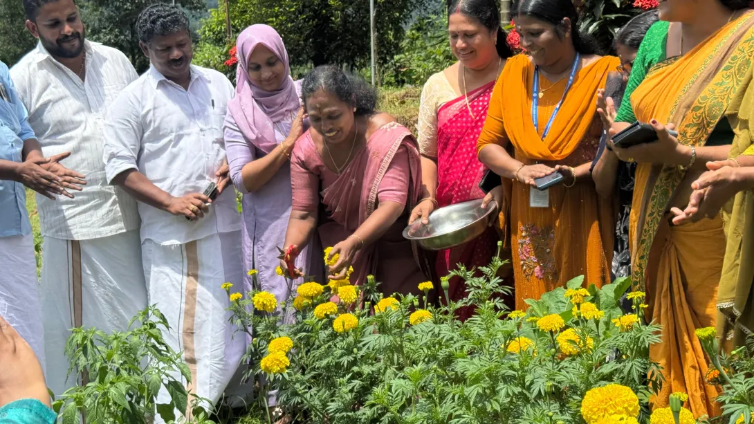 Floriculture harvest