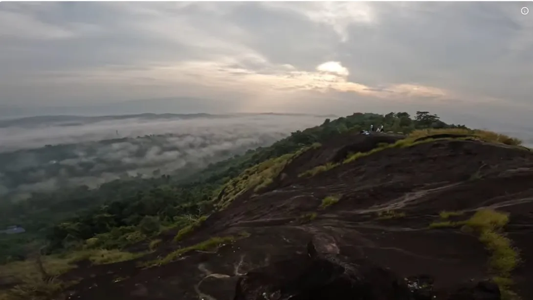 ആനപ്പാറ വ്യൂ പോയിന്‍റ്