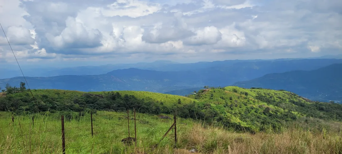 ഇലവീഴാപൂഞ്ചിറ