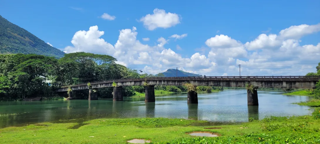 കുടയത്തൂർ പാലം