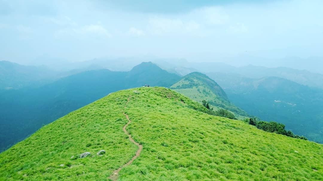 Palkkulammedu