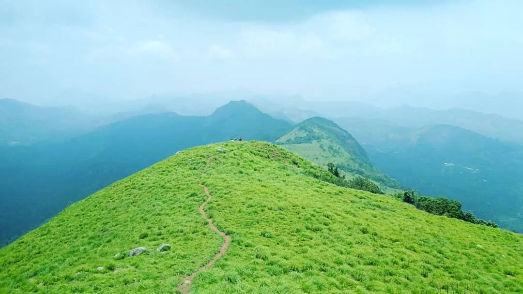 പാല്‍ക്കുളംമേട്