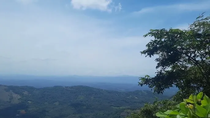 മറ്റത്തിപ്പാറ വ്യൂപോയിന്‍റ്