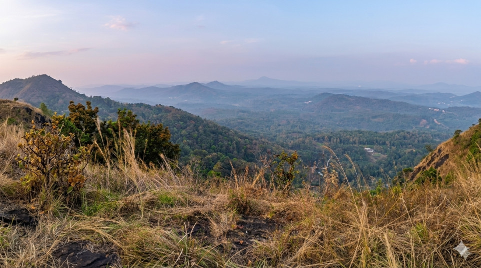 vellaneekipara